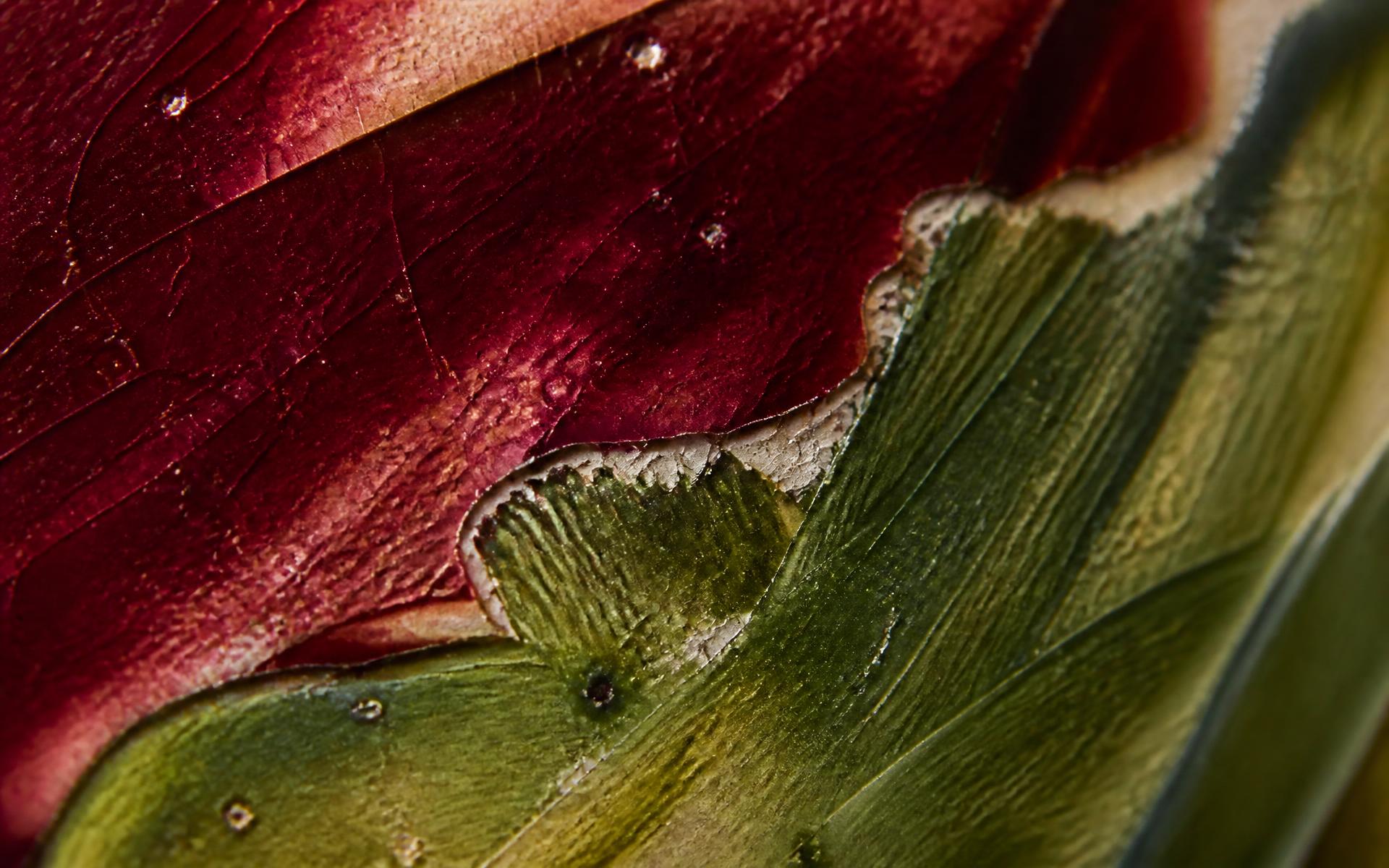 Extreme close-up of burgundy and olive glaze meeting on a crackled ceramic surface